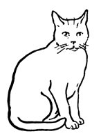 cat_16307_lg.gif