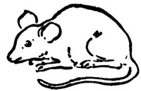 mouse_16309_md.gif