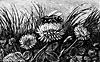 Bee_16322_th.gif