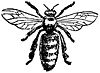 worker_16324_th.gif