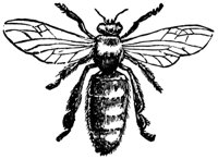 worker_16324_md.gif