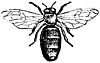 drone_16325_th.gif