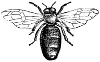 drone_16325_lg.gif