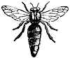 queen_16326_th.gif