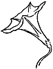 flower_16328_th.gif