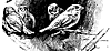 bird4_16332_th.gif