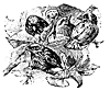 bird5_16333_th.gif