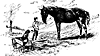 horse_16336_th.gif