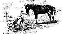 horse_16336_sm.gif