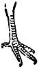 hen_16341_th.gif