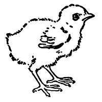 bird_16350_sm.gif