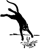 cat3_16355_th.gif