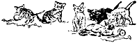cats_16357_sm.gif