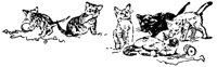 cats_16357_lg.gif