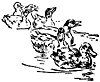 ducks_16358_th.gif