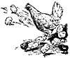 chickens_16360_th.gif