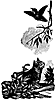 cat-bird_16363_th.gif