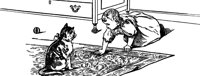 baby_16370_lg.gif