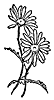 daisies_16380_th.gif
