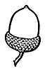 acorn_16384_th.gif