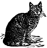 cat_16388_th.gif