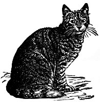 cat_16388_sm.gif