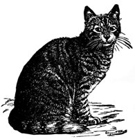 cat_16388_md.gif