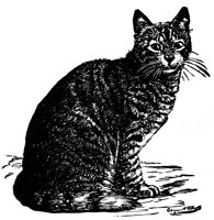 cat_16388_lg.gif