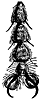 fly2_16399_th.gif