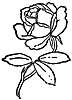 rose_16401_th.gif