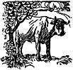 ox_16406_th.gif