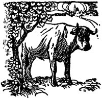 ox_16406_sm.gif