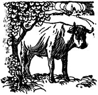 ox_16406_lg.gif