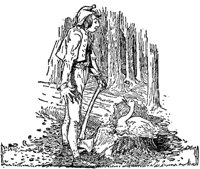 goose2_16476_md.gif