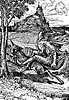 fox-brush2_16481_th.gif