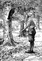 raven2_16491_md.gif