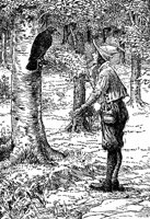 raven2_16491_lg.gif