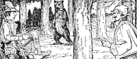 bearskin_16495_sm.gif