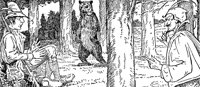 bearskin_16495_lg.gif