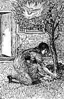 juniper2_16543_sm.gif