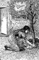 juniper2_16543_lg.gif