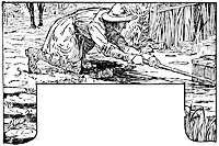 golden-beard_16555_sm.gif
