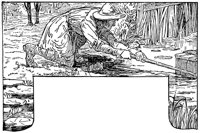 golden-beard_16555_lg.gif