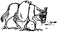 horse_16753_lg.gif