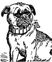 dog_16795_sm.gif