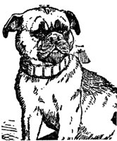 dog_16795_md.gif