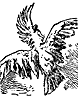 cockatoo_16811_th.gif