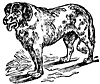 dog_16828_th.gif