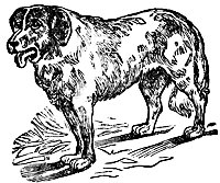 dog_16828_sm.gif
