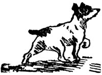 dog_16987_md.gif